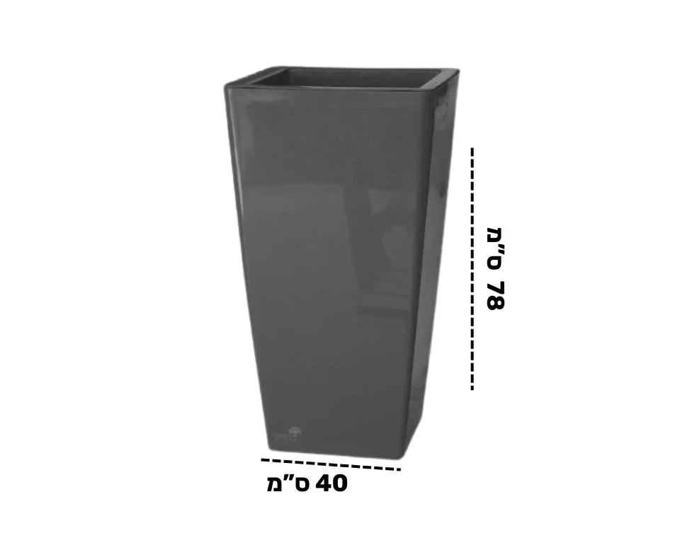 תמונת מוצר 2