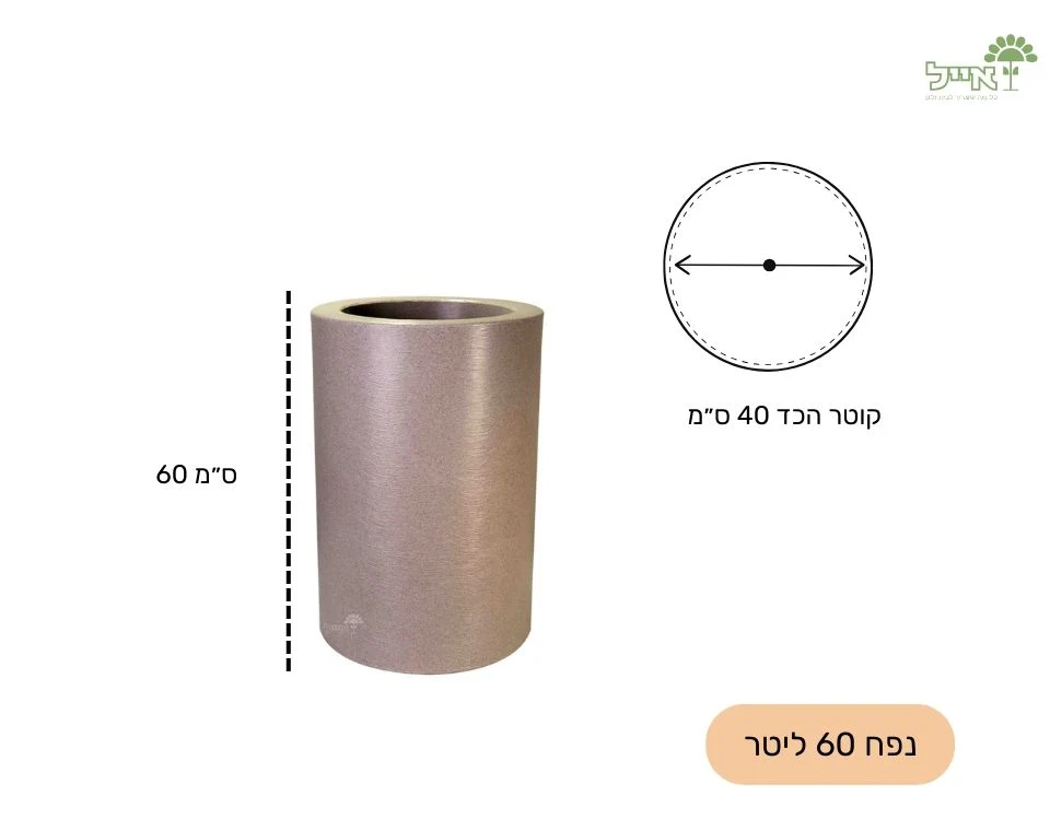תמונת מוצר 3