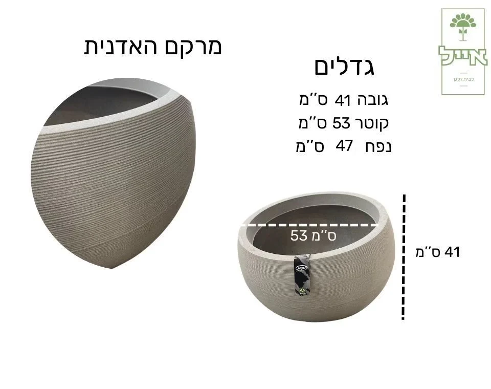 תמונת מוצר 3