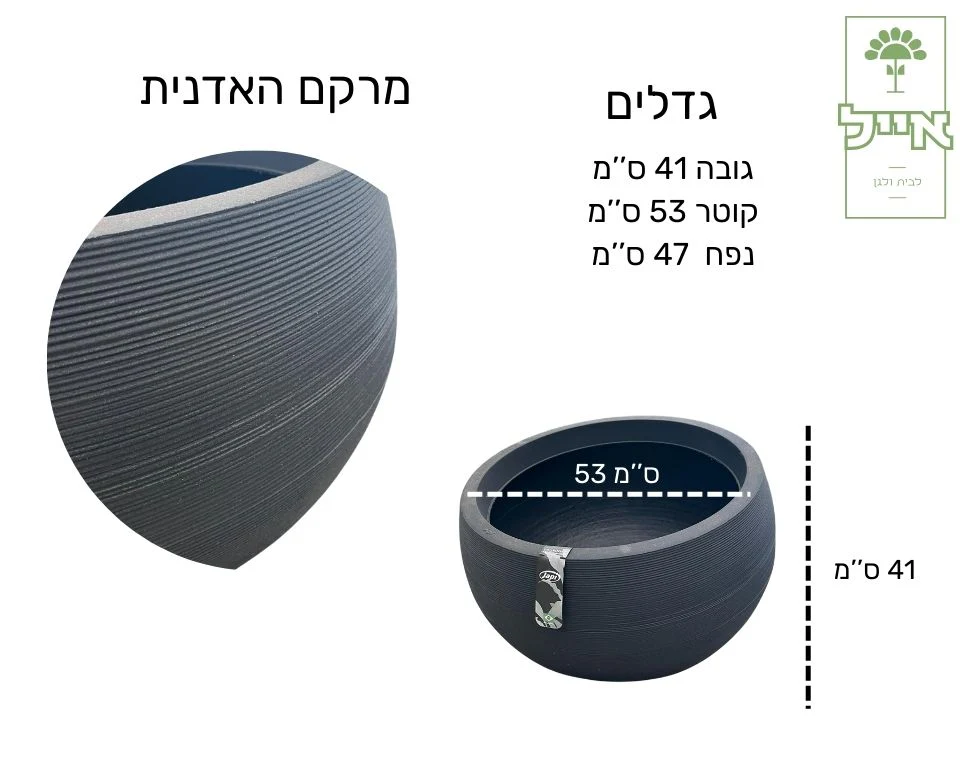 תמונת מוצר 3