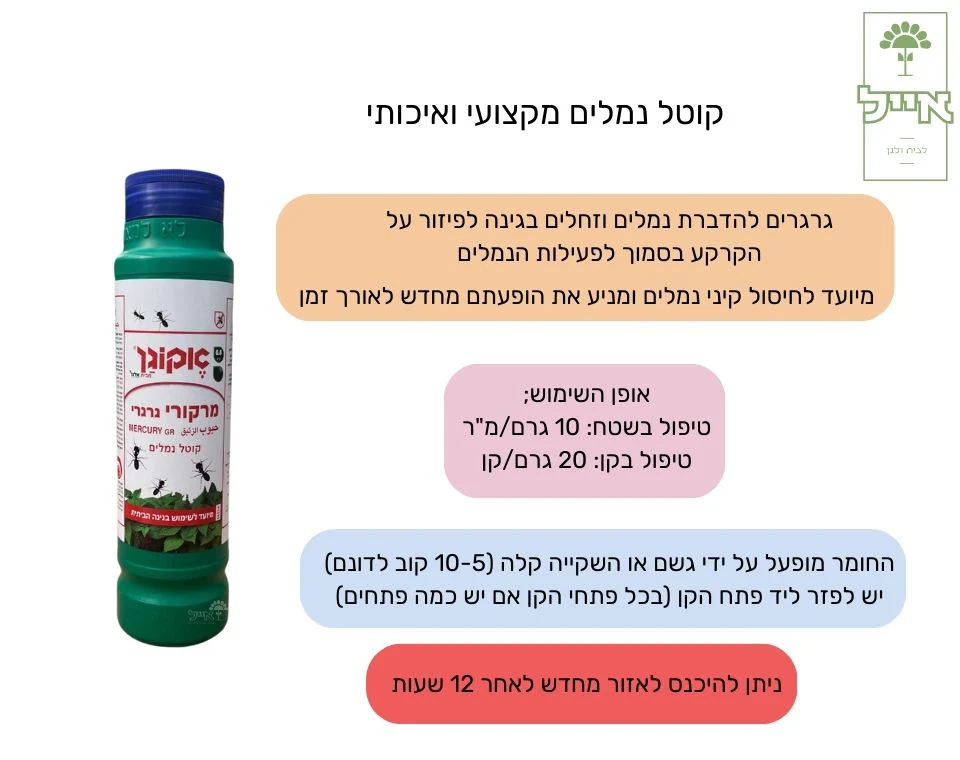תמונת מוצר 2