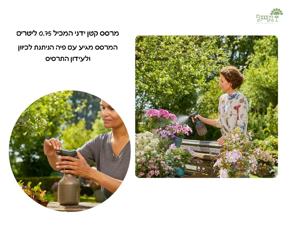 תמונת מוצר 3