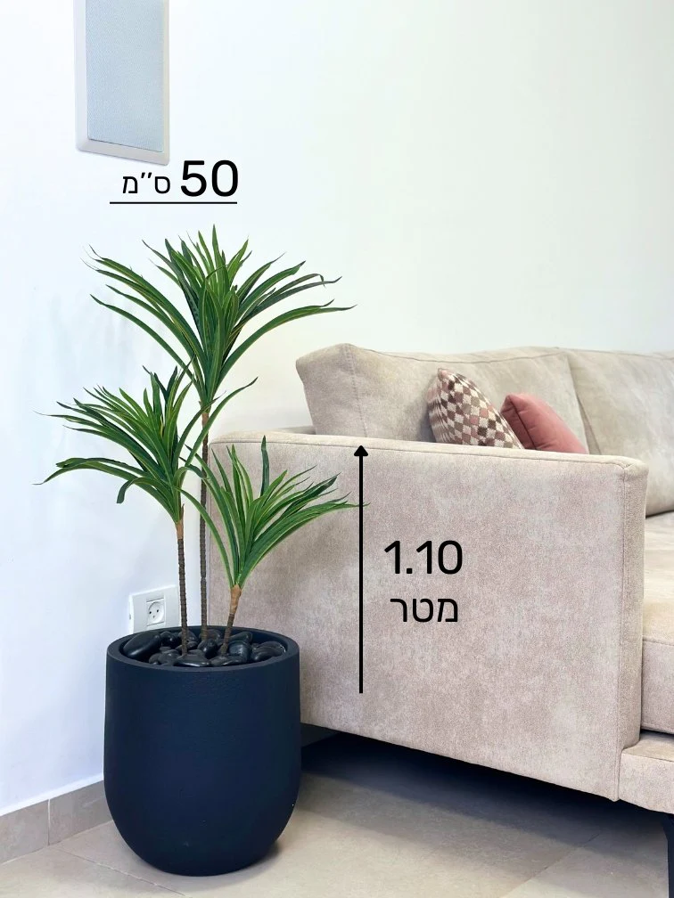 תמונת מוצר 5