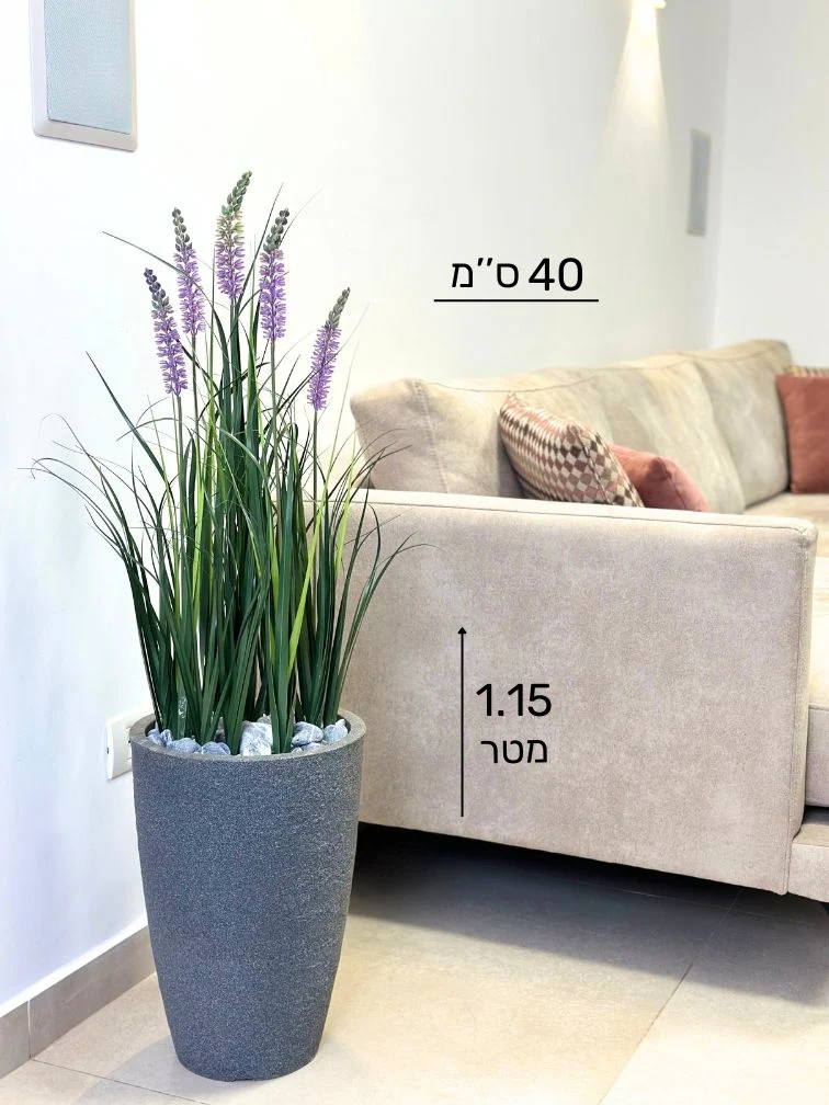 תמונה ממוזערת 2