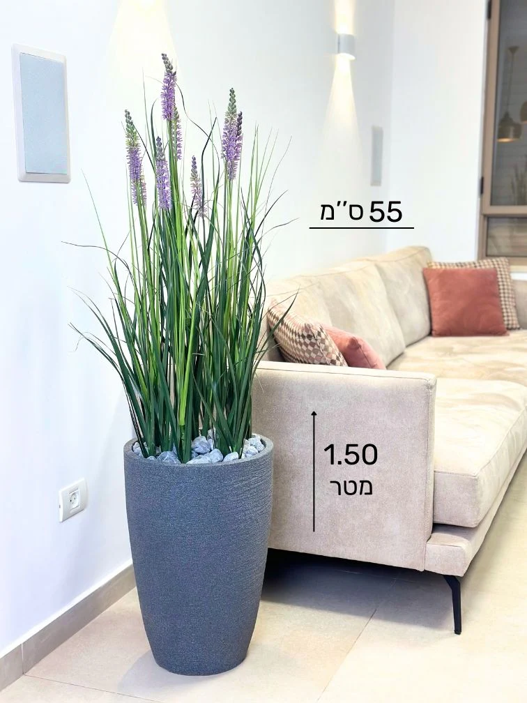 תמונה ממוזערת 2