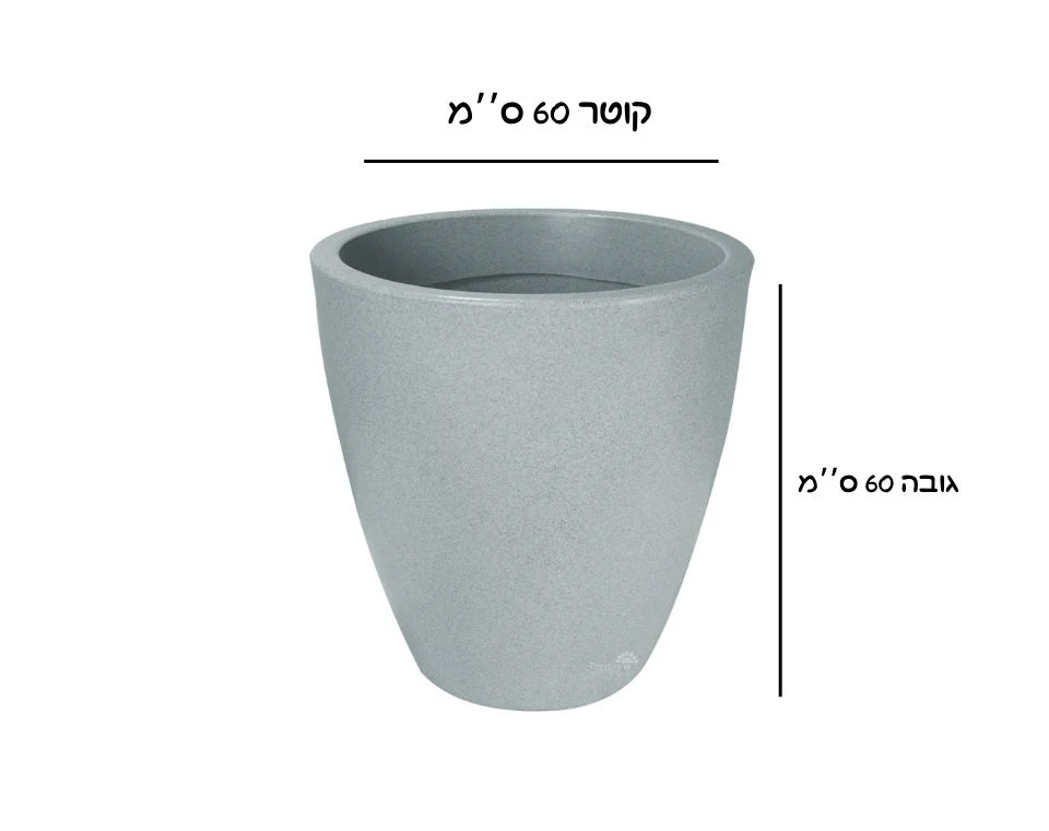 תמונת מוצר 2