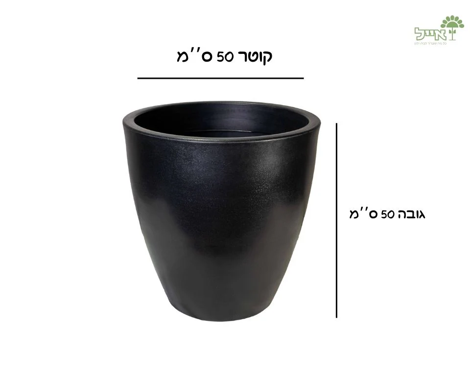 תמונת מוצר 2