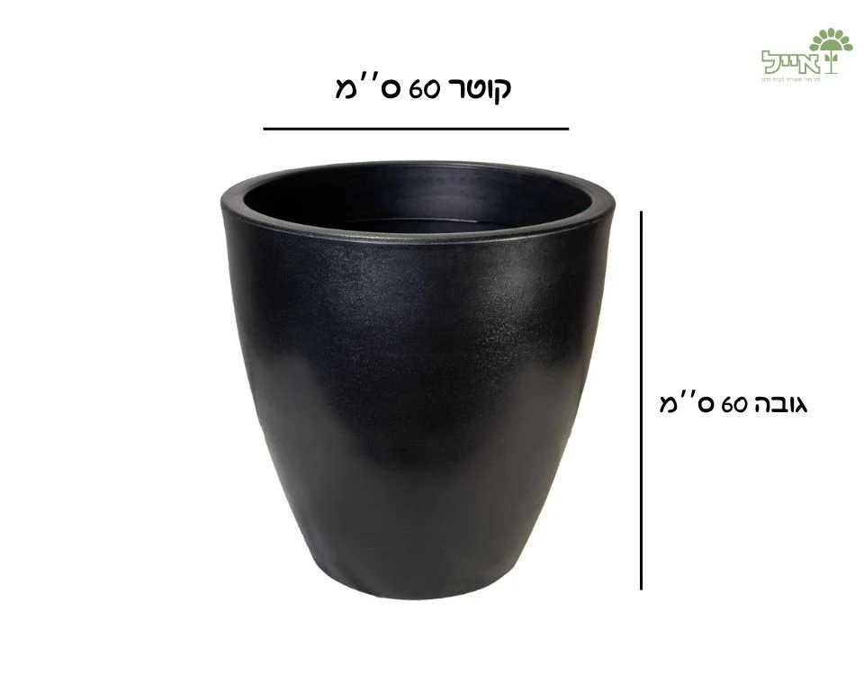 תמונת מוצר 2