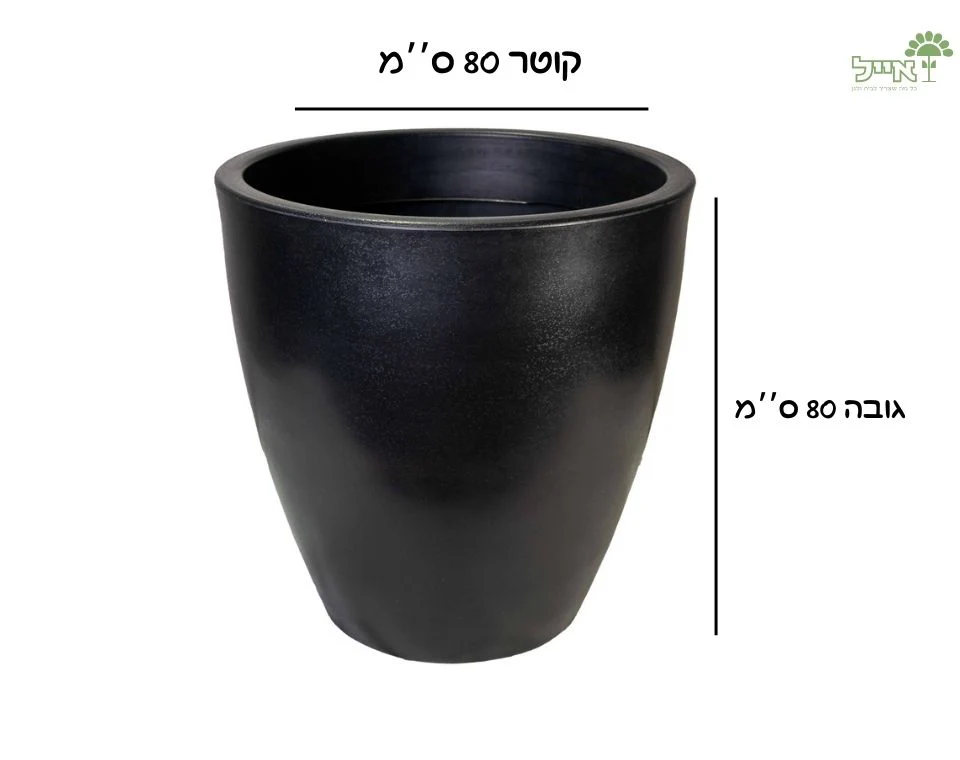 תמונת מוצר 2