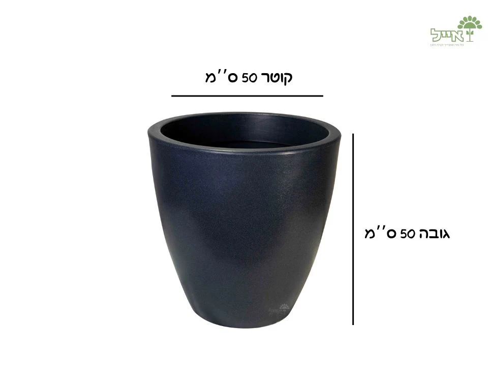 תמונת מוצר 2