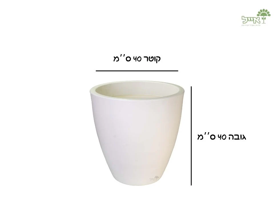 תמונת מוצר 2