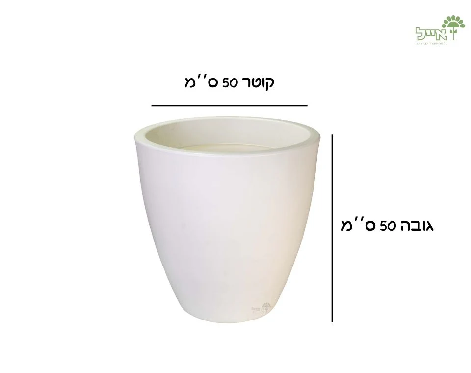 תמונת מוצר 2