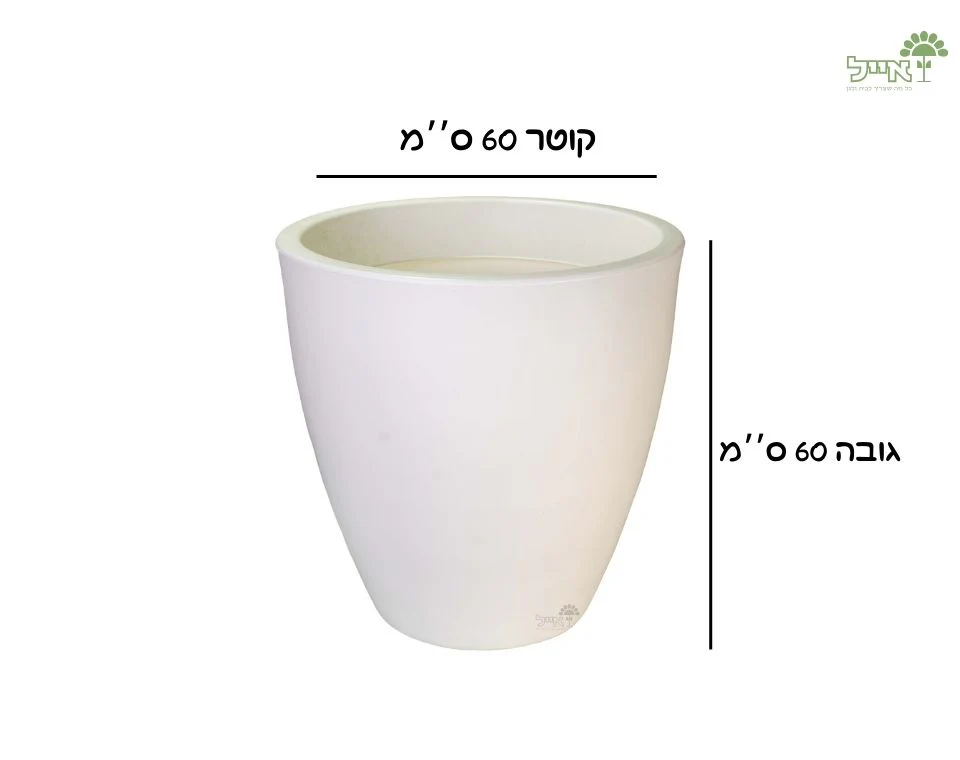 תמונת מוצר 2