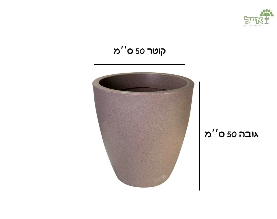 תמונת מוצר 2