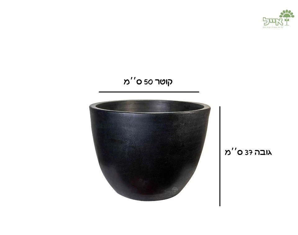 תמונת מוצר 2