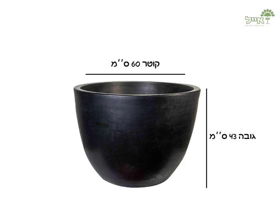 תמונת מוצר 2