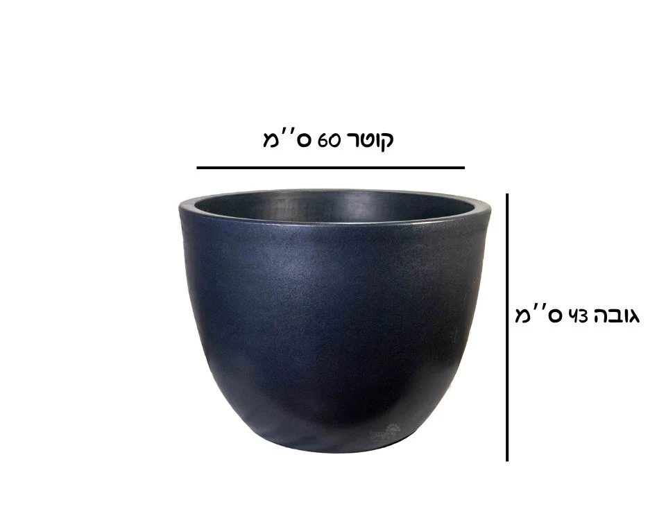 תמונת מוצר 2