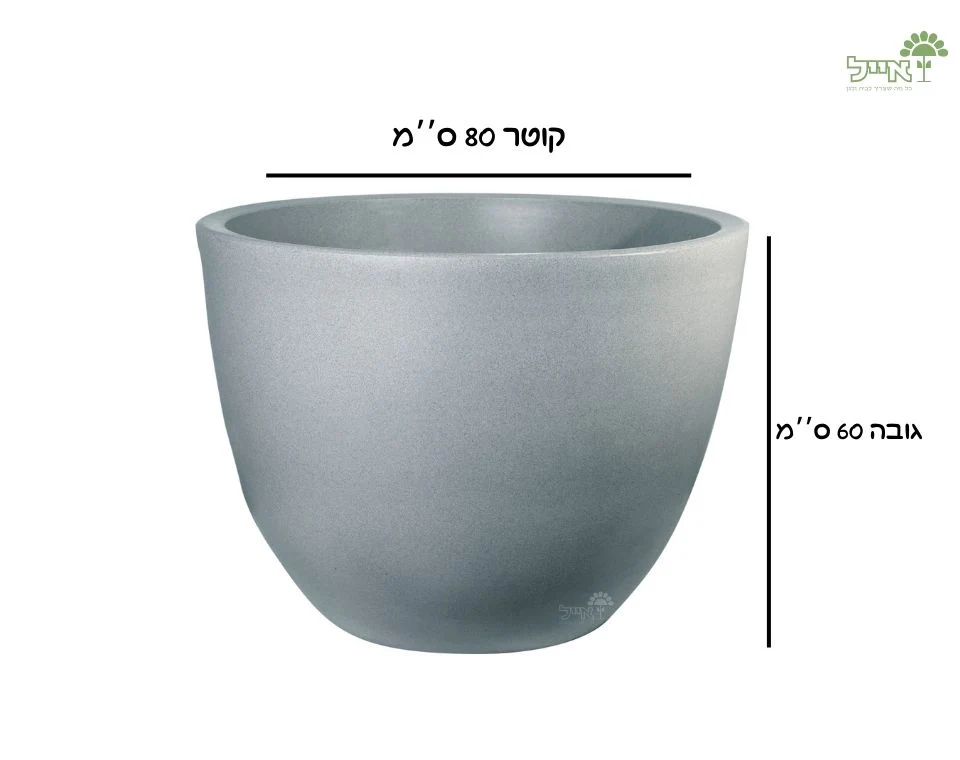 תמונת מוצר 2