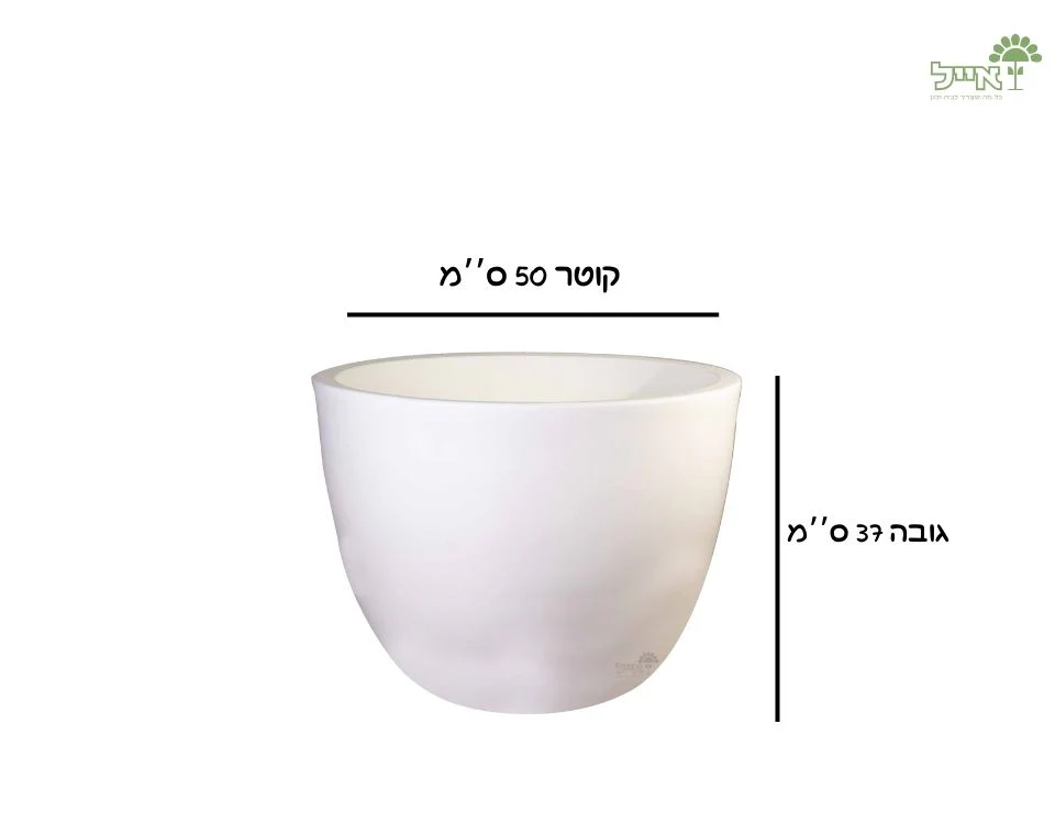תמונת מוצר 2