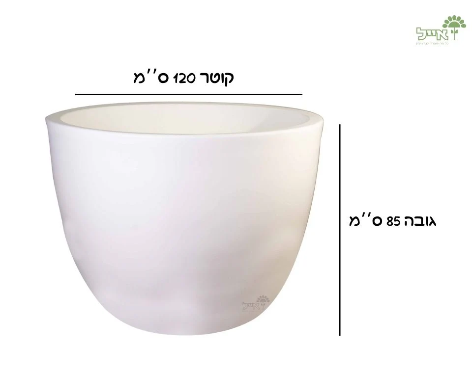 תמונת מוצר 2