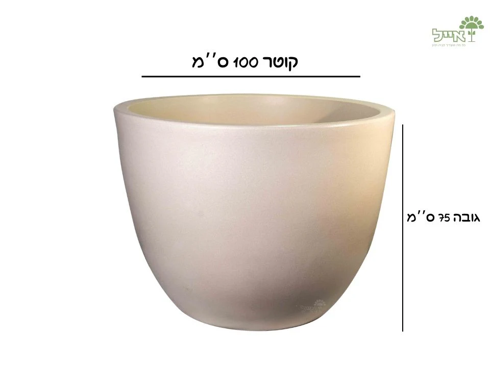 תמונת מוצר 2
