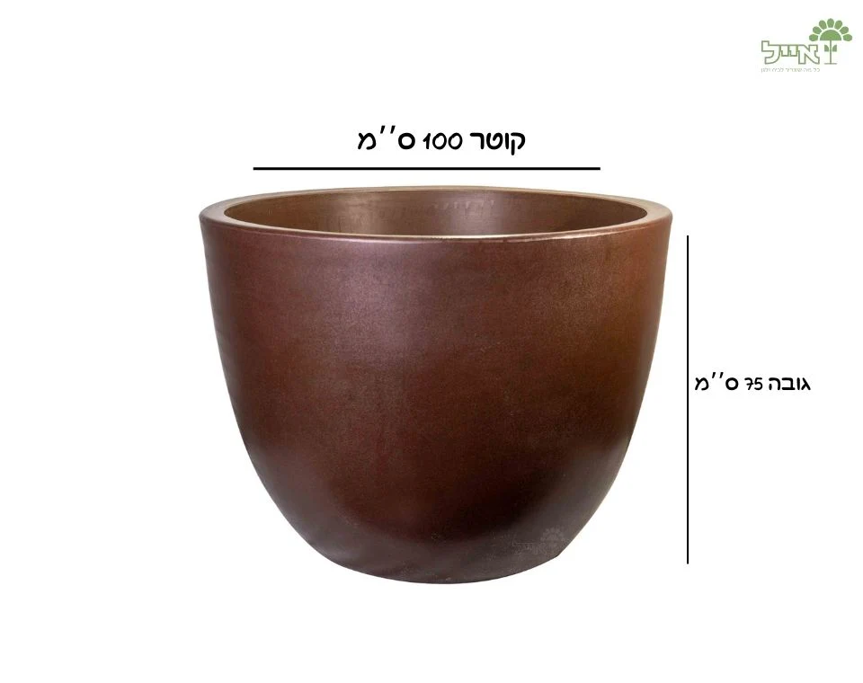 תמונת מוצר 2