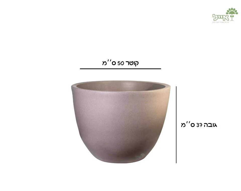 תמונת מוצר 2