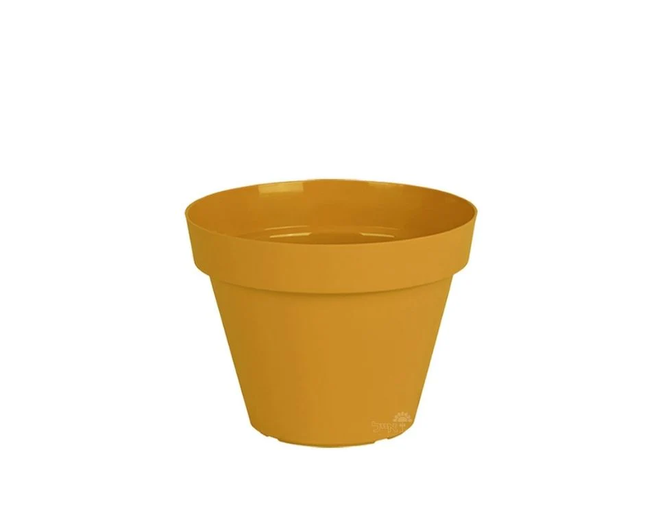 תמונת מוצר 1