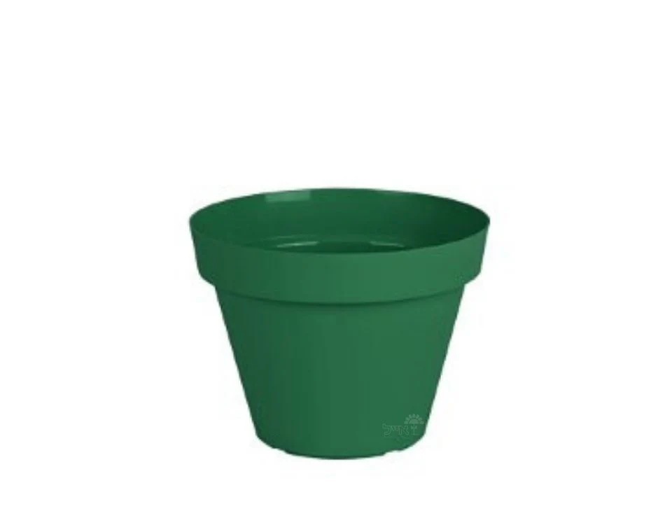 תמונת מוצר 1