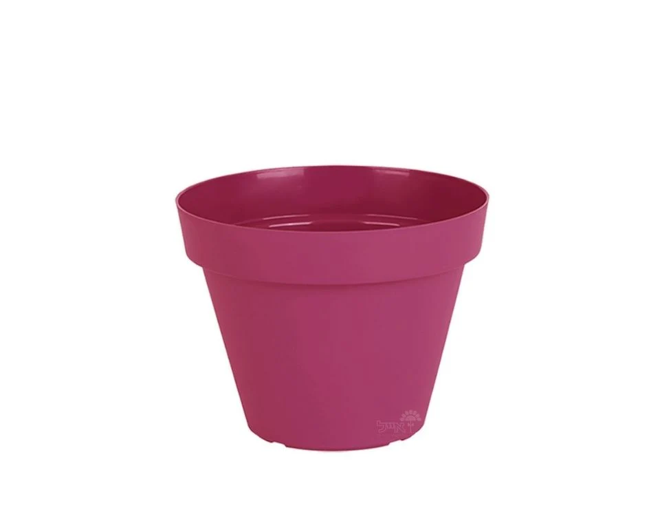 תמונת מוצר 1