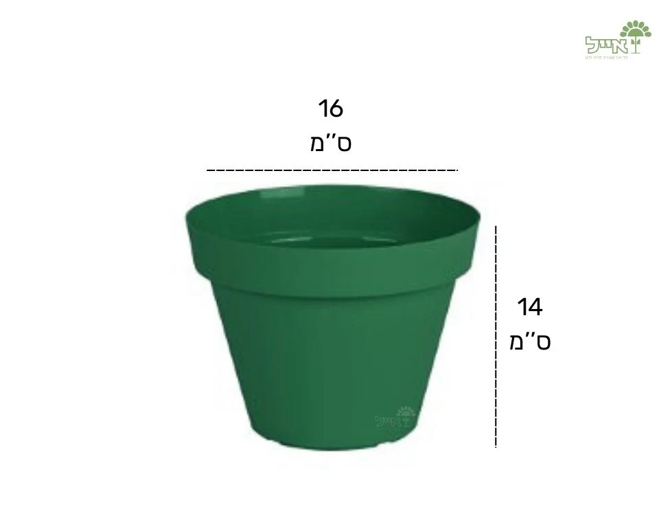 תמונת מוצר 2