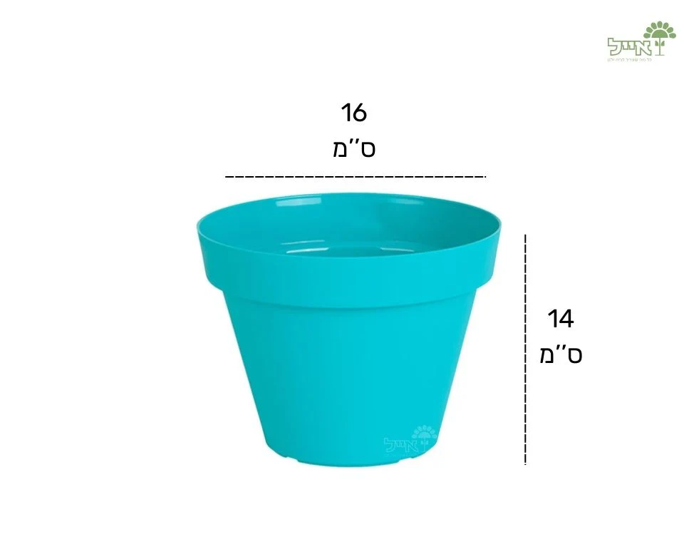 תמונת מוצר 2