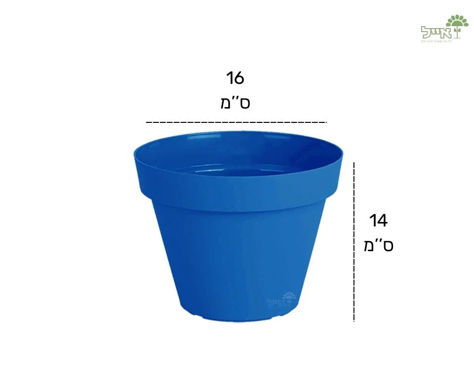 תמונת מוצר 2