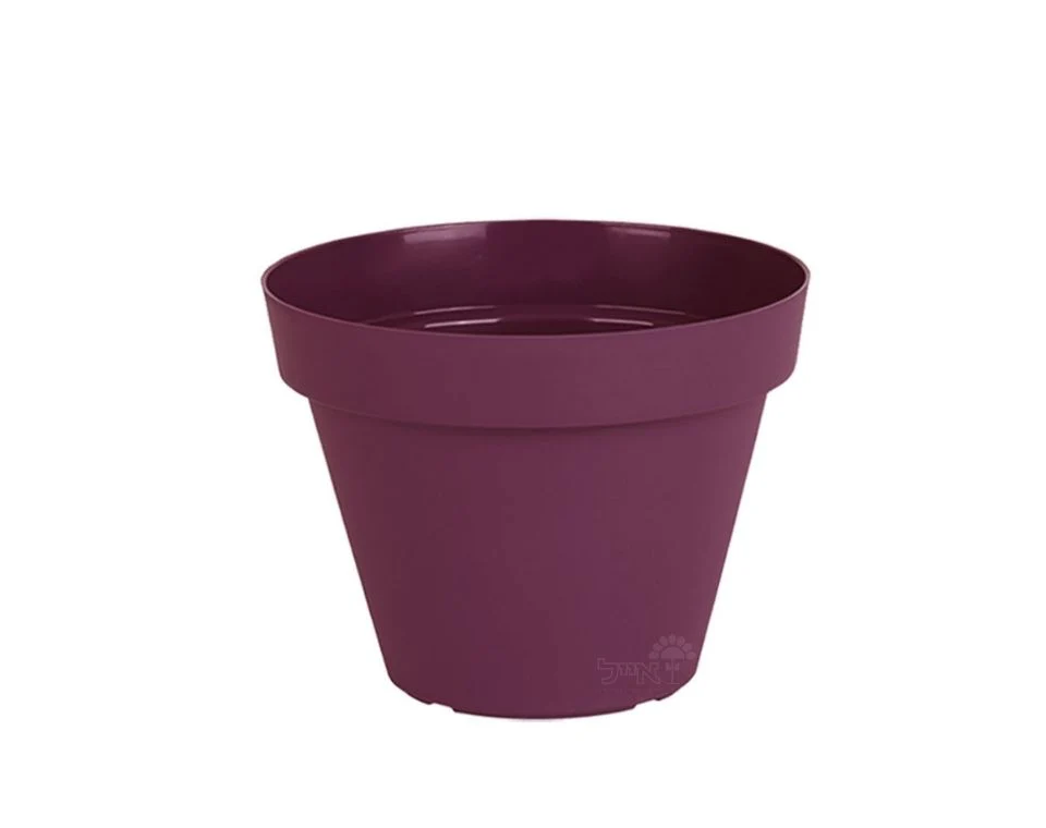 תמונת מוצר 1