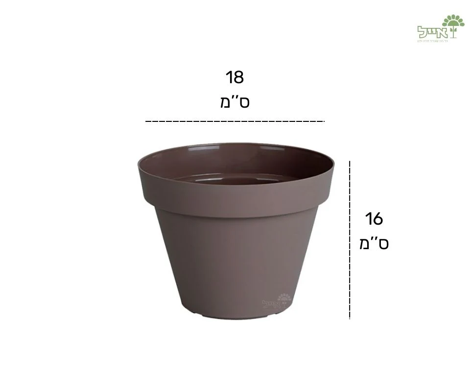 תמונת מוצר 2