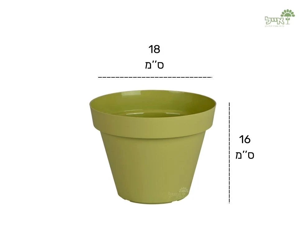 תמונת מוצר 2
