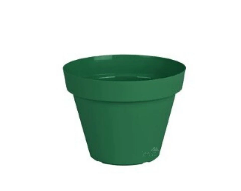 תמונת מוצר 1