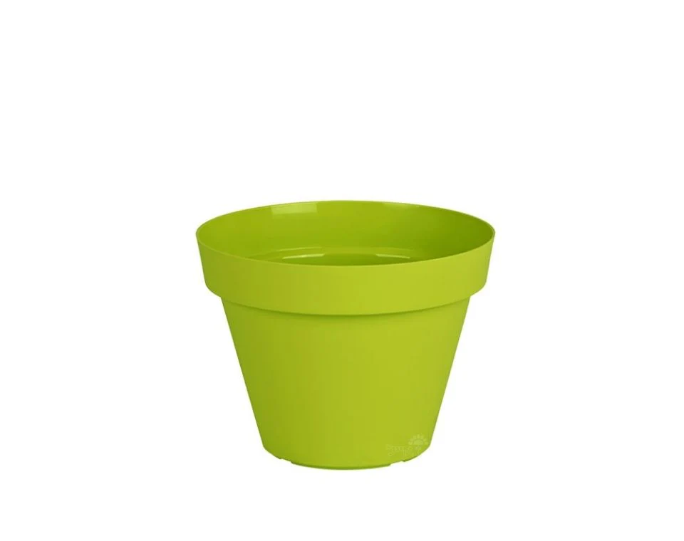 תמונת מוצר 1