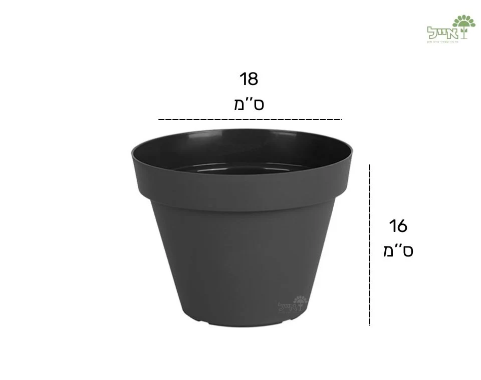 תמונת מוצר 2