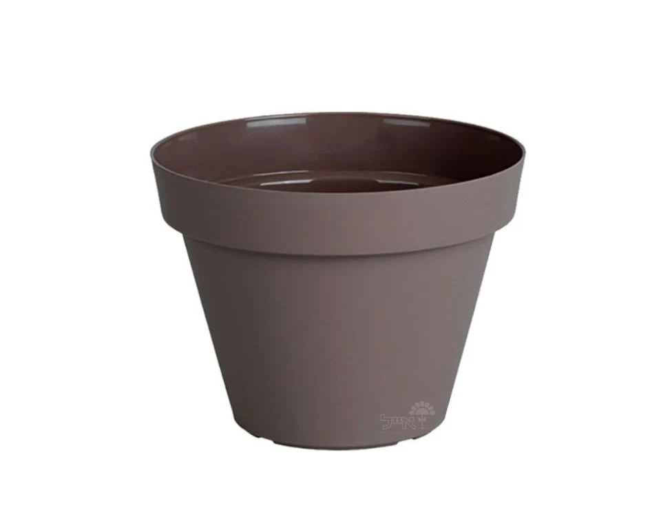 תמונת מוצר 1