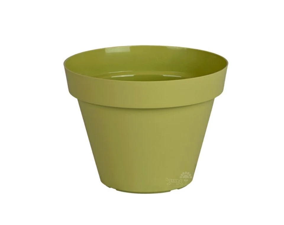 תמונת מוצר 1
