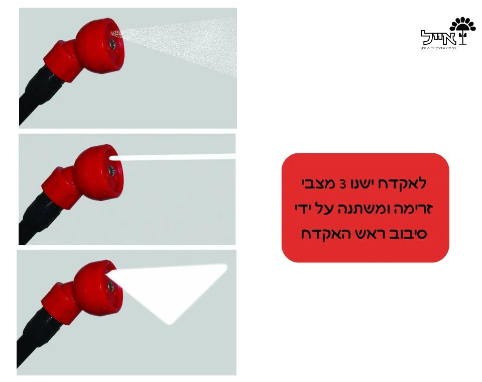תמונת מוצר 3