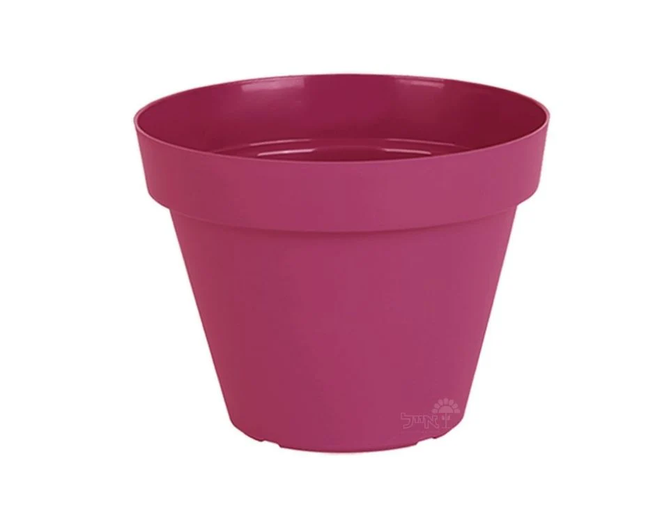 תמונת מוצר 1