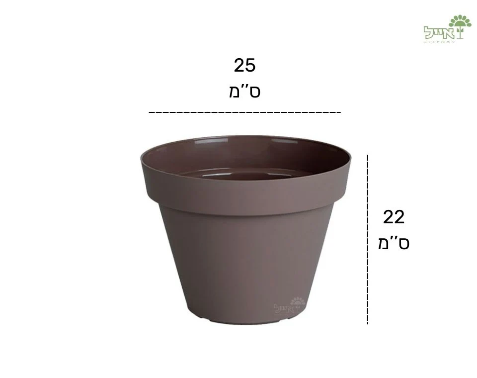 תמונת מוצר 2