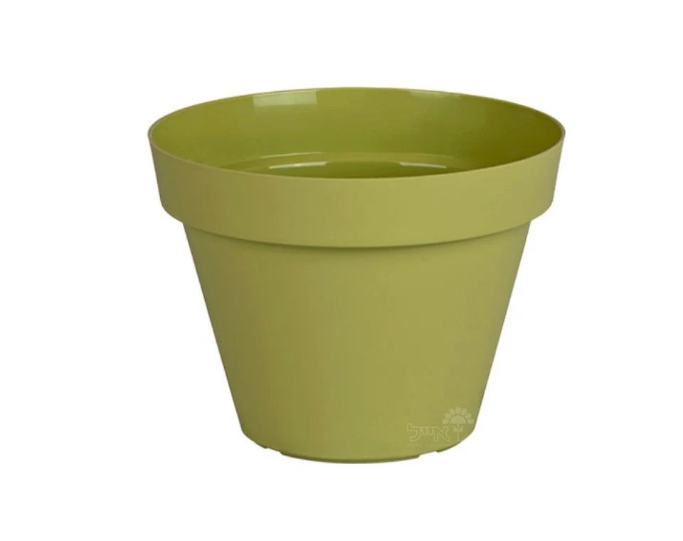 תמונת מוצר 1