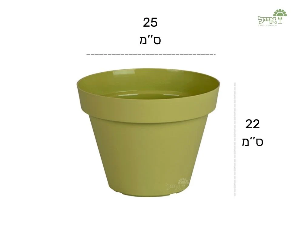 תמונת מוצר 2