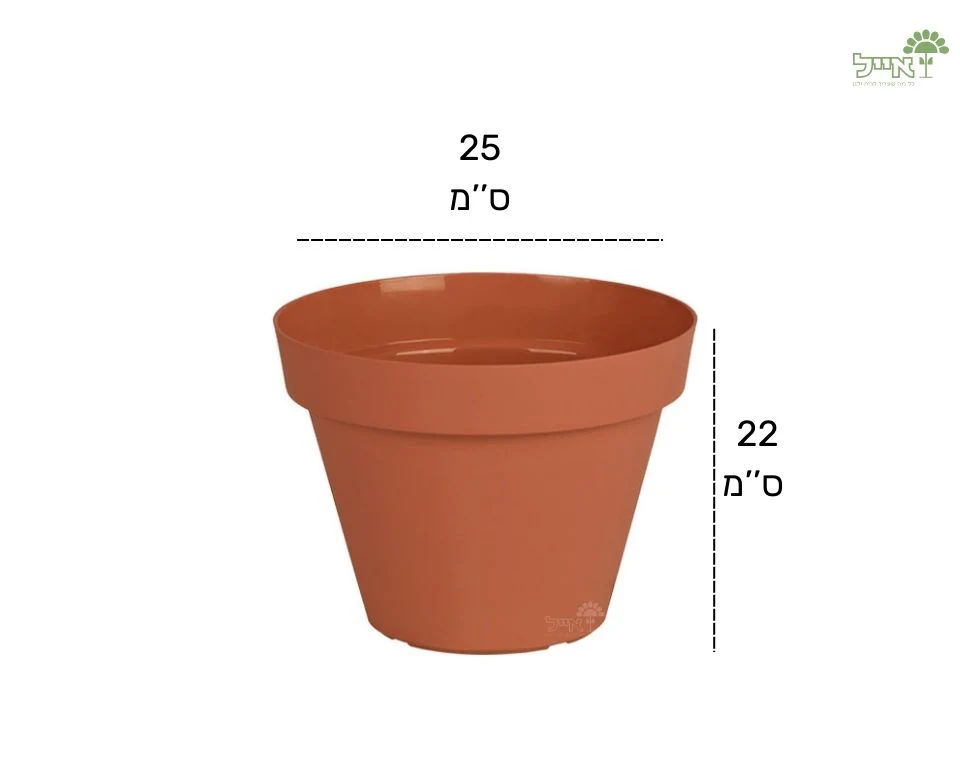 תמונת מוצר 3