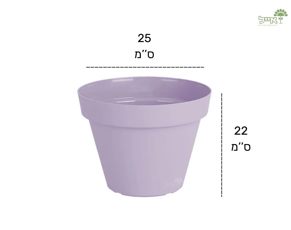 תמונת מוצר 2