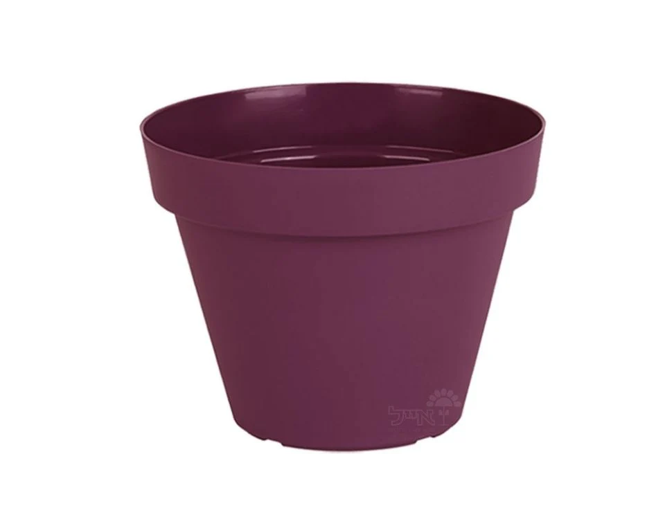 תמונת מוצר 1