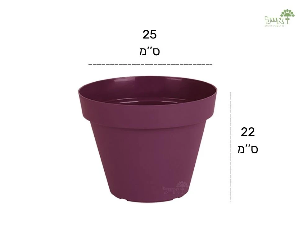 תמונת מוצר 2
